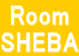 Room SHEBA 